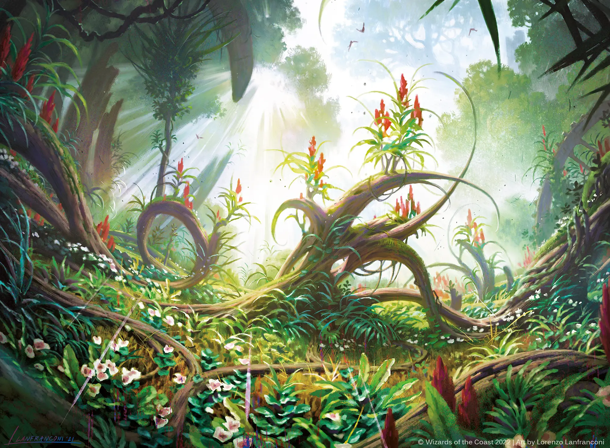 Favorite MTG Formats